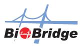 BioBridge